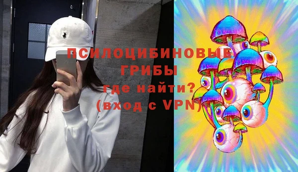 гашиш Богданович